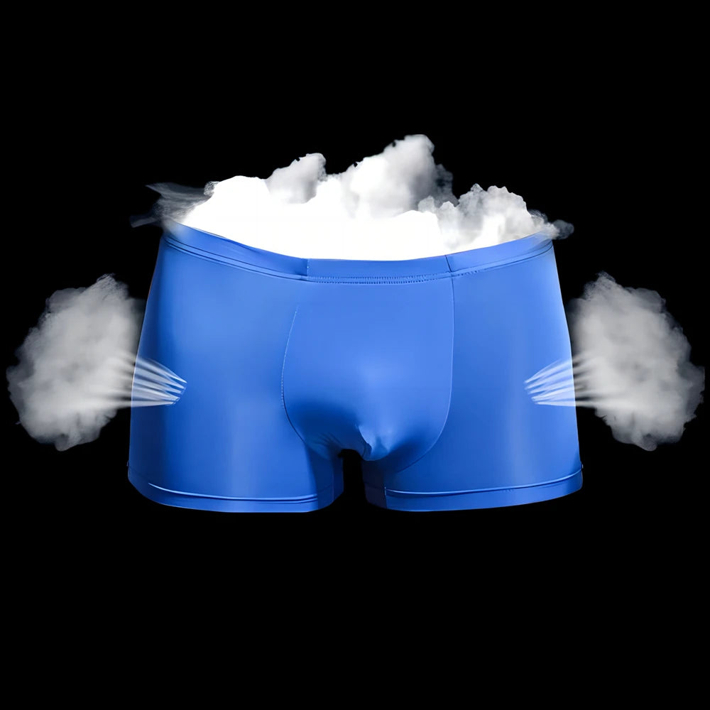 Boxer Briefs Pure Color Breathable Knitted Low-rise Ultra-thin Polyamide Ice Silk Quick-dry Men's Underwear Waist Silk Screen