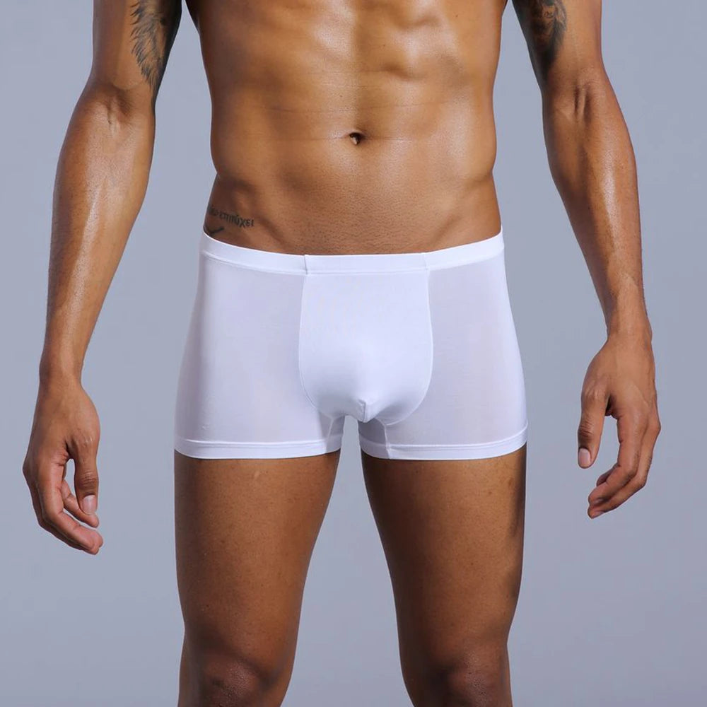 Boxer Briefs Pure Color Breathable Knitted Low-rise Ultra-thin Polyamide Ice Silk Quick-dry Men's Underwear Waist Silk Screen
