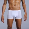 Boxer Briefs Pure Color Breathable Knitted Low-rise Ultra-thin Polyamide Ice Silk Quick-dry Men's Underwear Waist Silk Screen